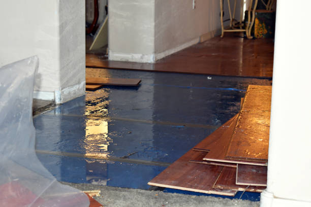 Professional Water Damage Restoration technician working in Darien, IL